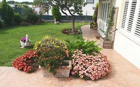 Bed And Breakfast Angolo Fiorito